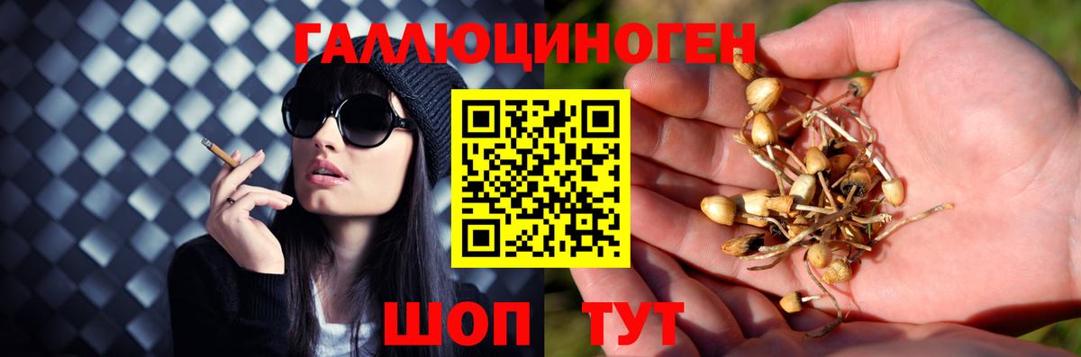 Галлюциногенные грибы Cubensis  Вход с VPN  Усть-Илимск  Галлюциногенные грибы MAGIC MUSHROOMS 